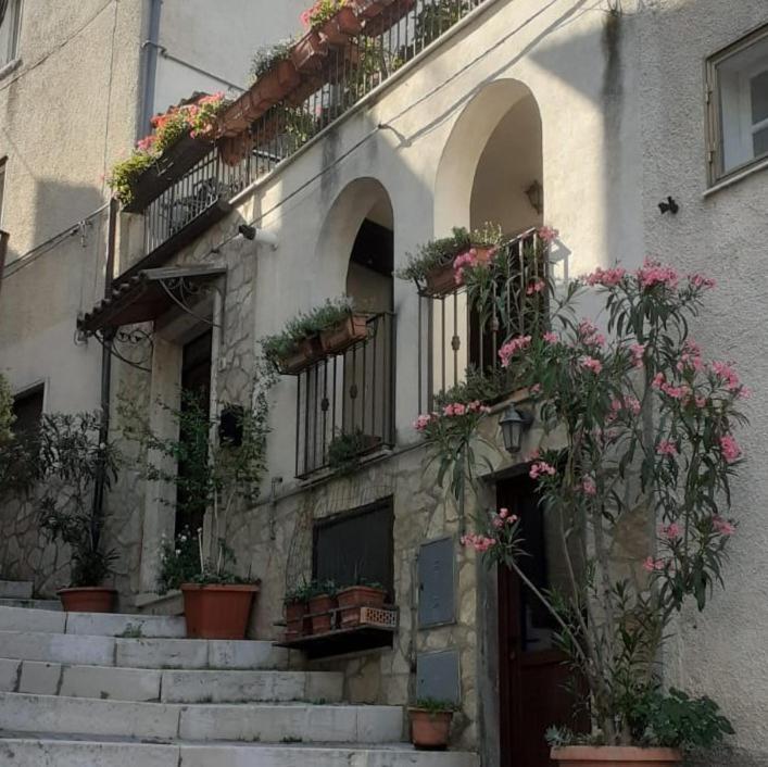 Villa Porta Del Colle Roccavivara Exterior foto